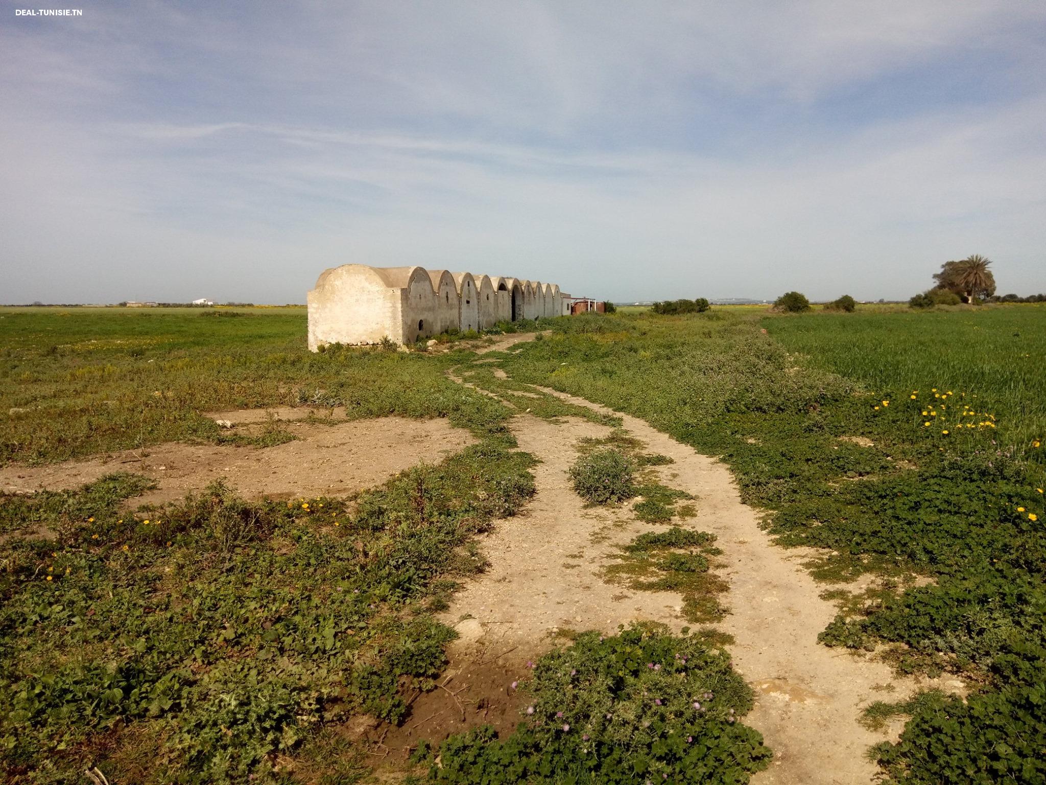 Image Annonce Deal-tunisie