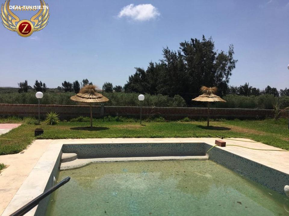 Image Annonce Deal-tunisie