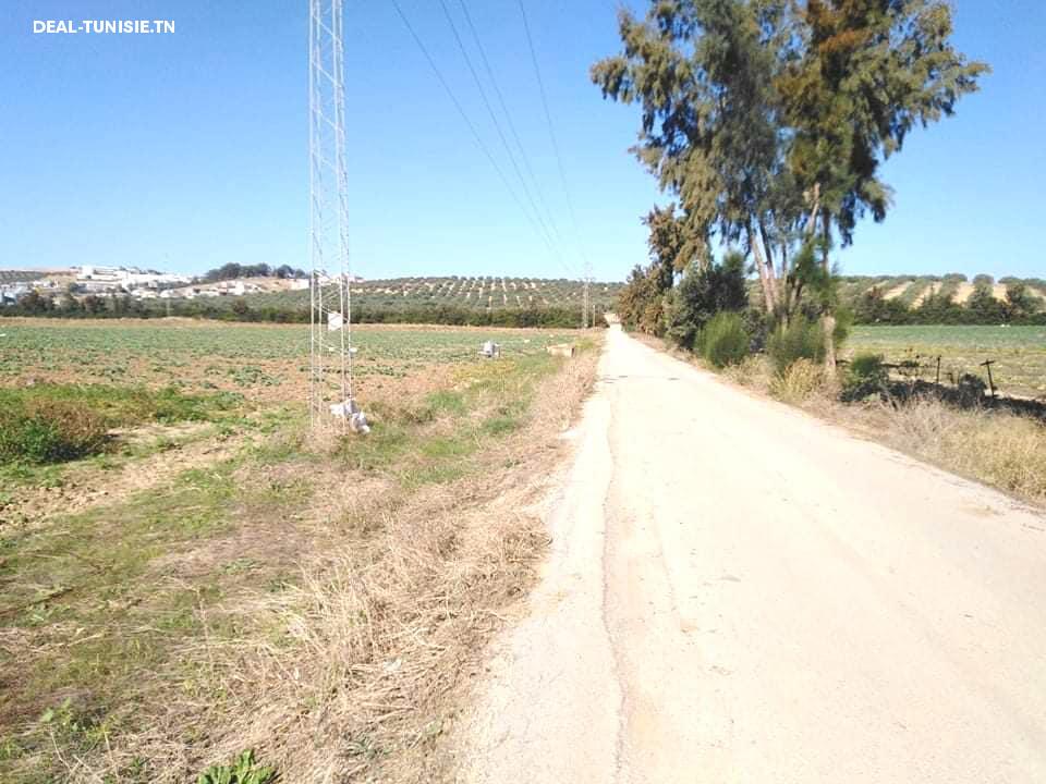 Image Annonce Deal-tunisie