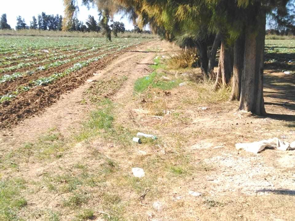Image Annonce Deal-tunisie