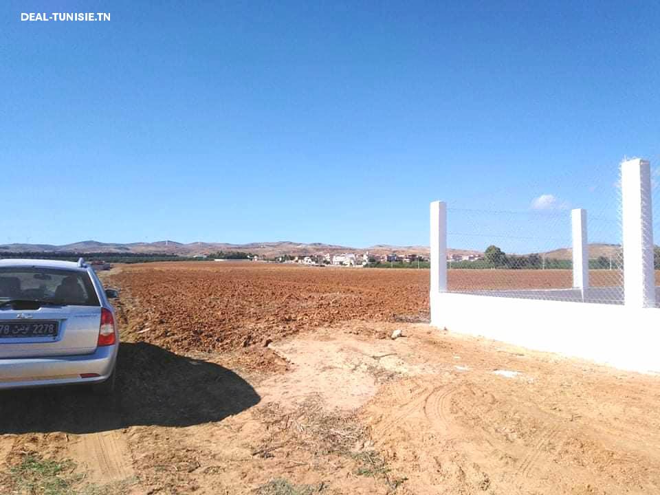 Image Annonce Deal-tunisie