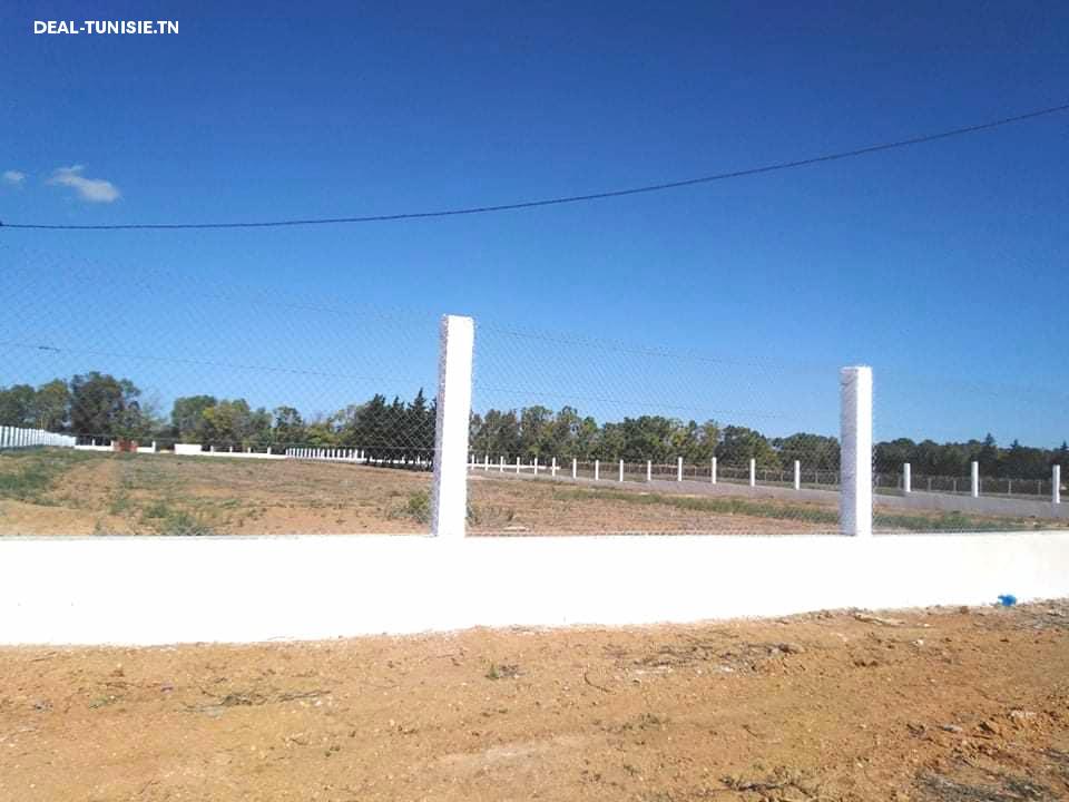 Image Annonce Deal-tunisie