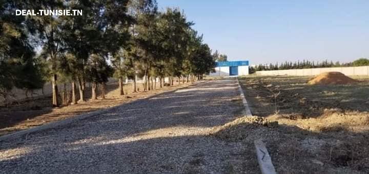 Image Annonce Deal-tunisie
