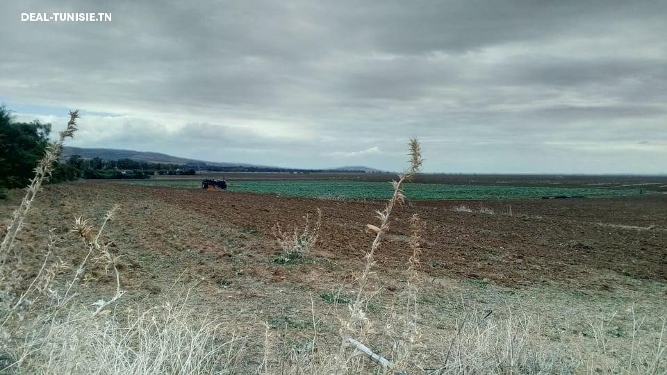 Image Annonce Deal-tunisie