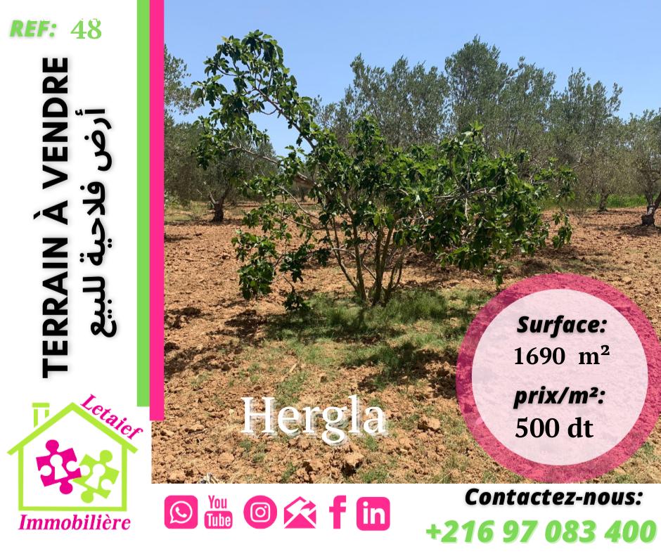 deal tunisie annonce