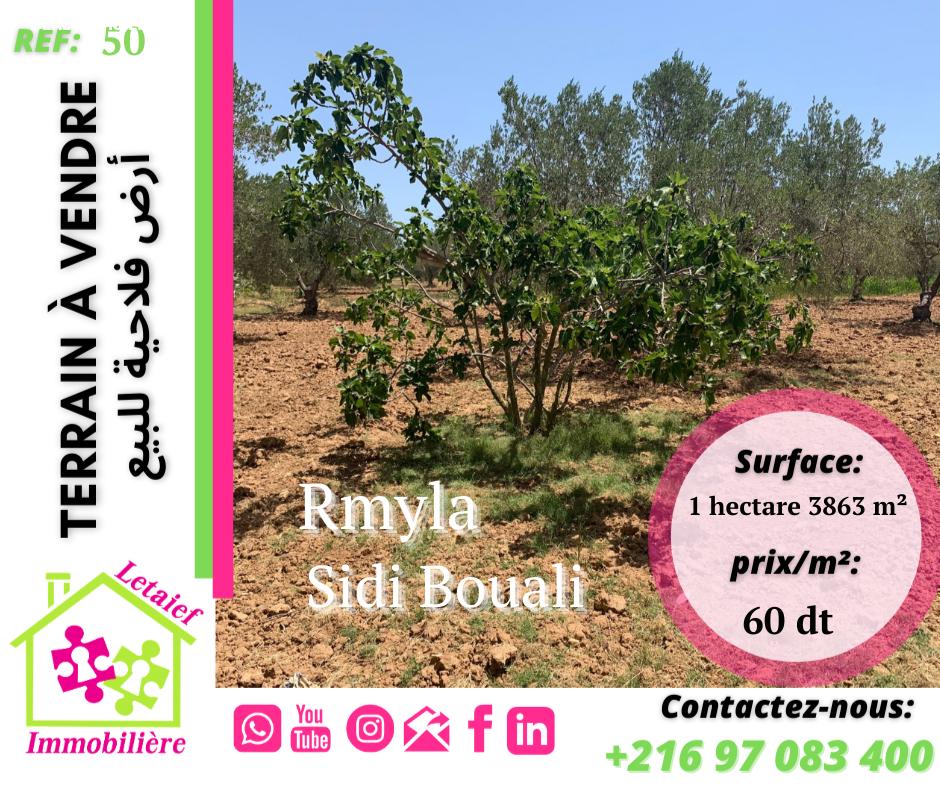 deal tunisie annonce