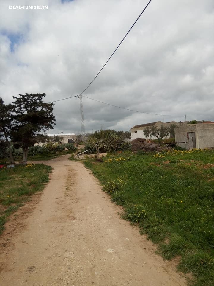 Image Annonce Deal-tunisie