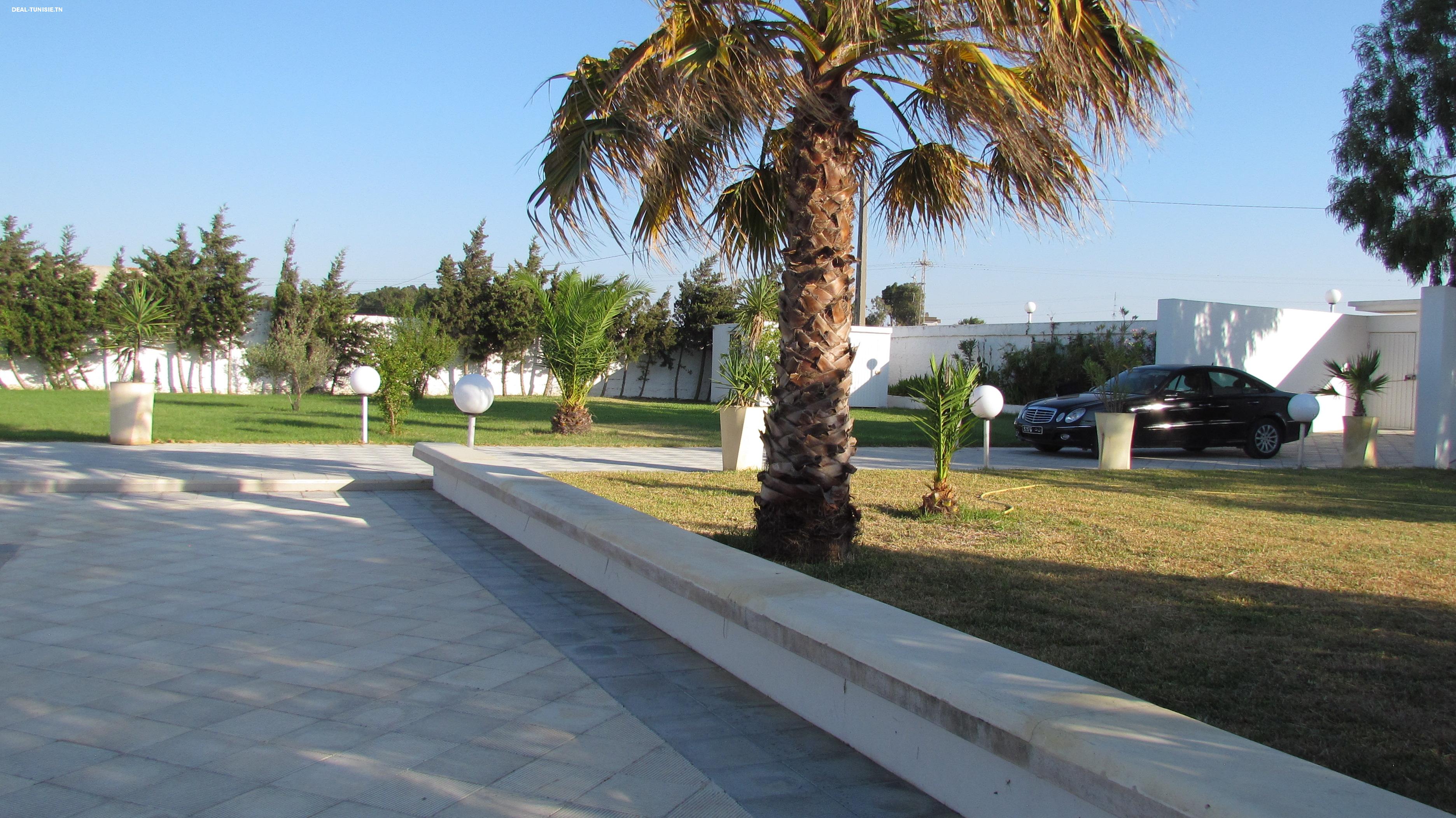 Image Annonce Deal-tunisie