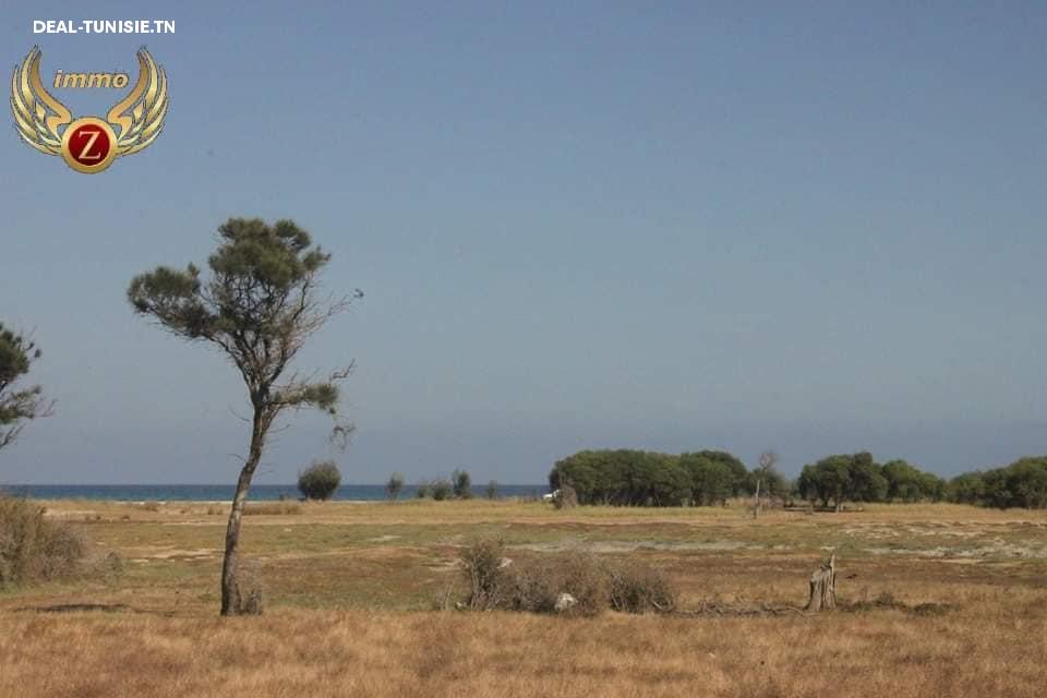 deal tunisie annonce