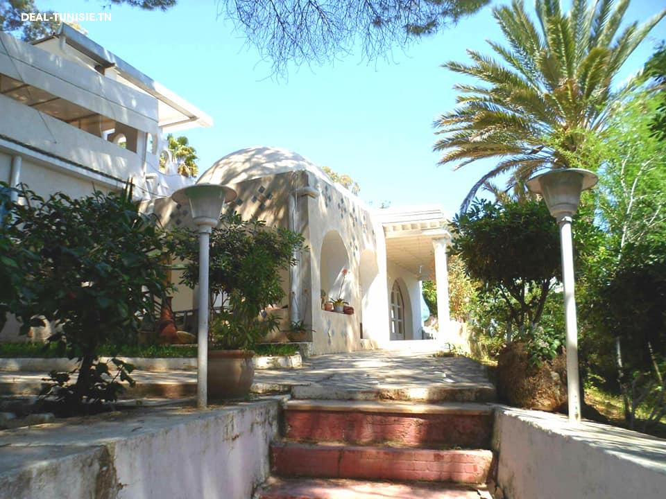 Image Annonce Deal-tunisie