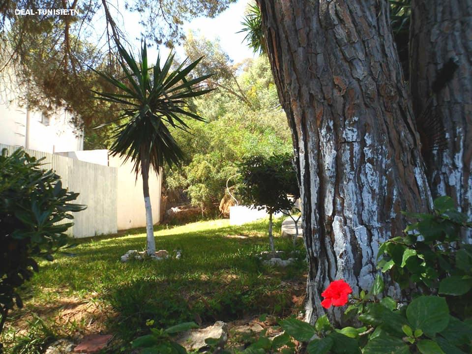 Image Annonce Deal-tunisie