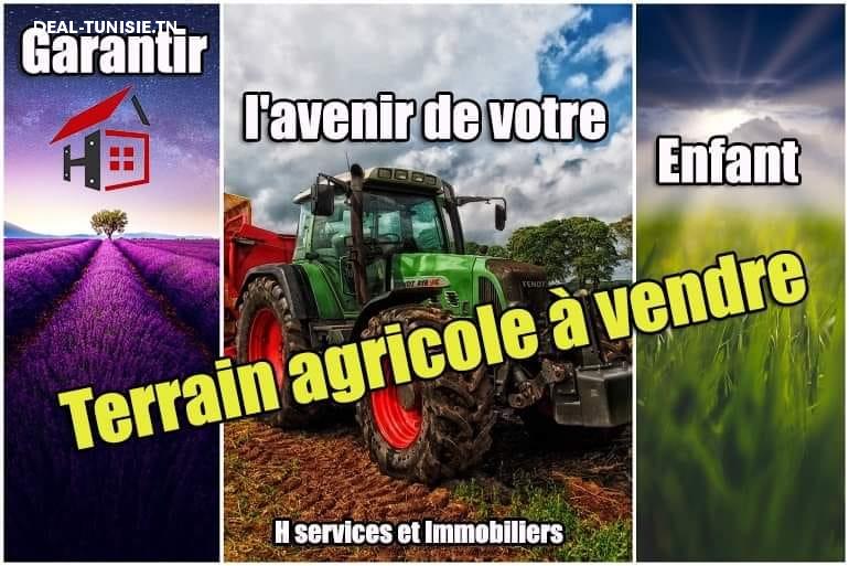 deal tunisie annonce