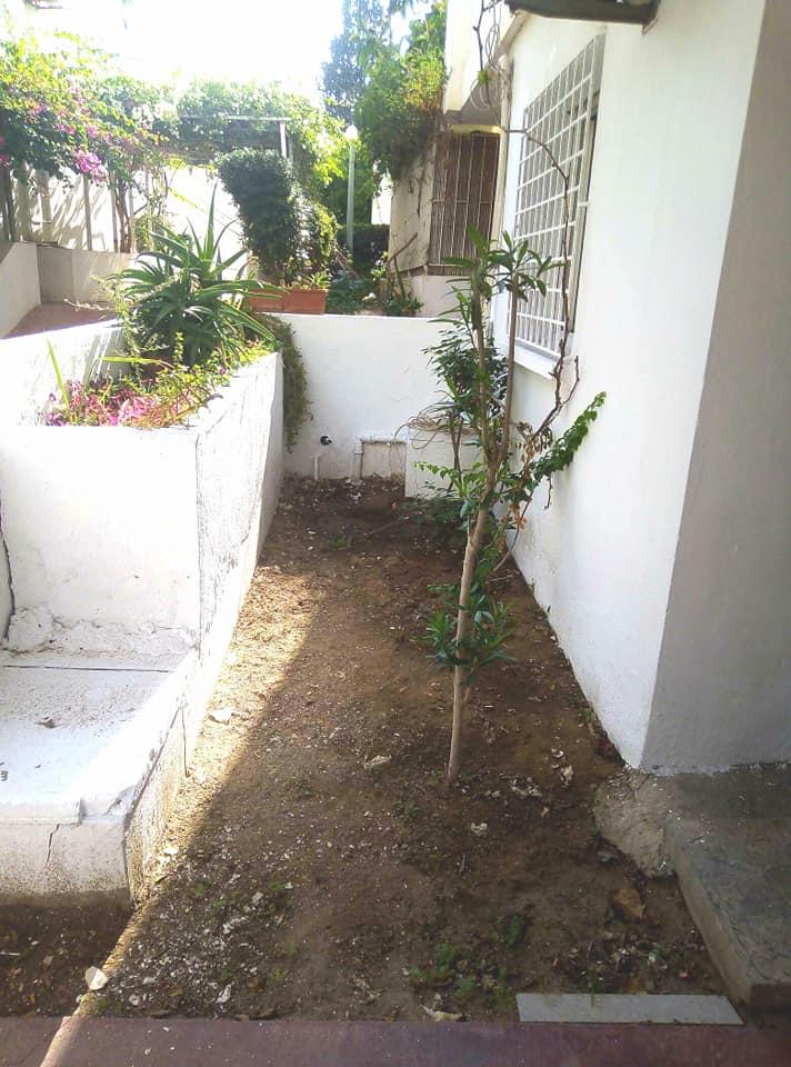 Image Annonce Deal-tunisie