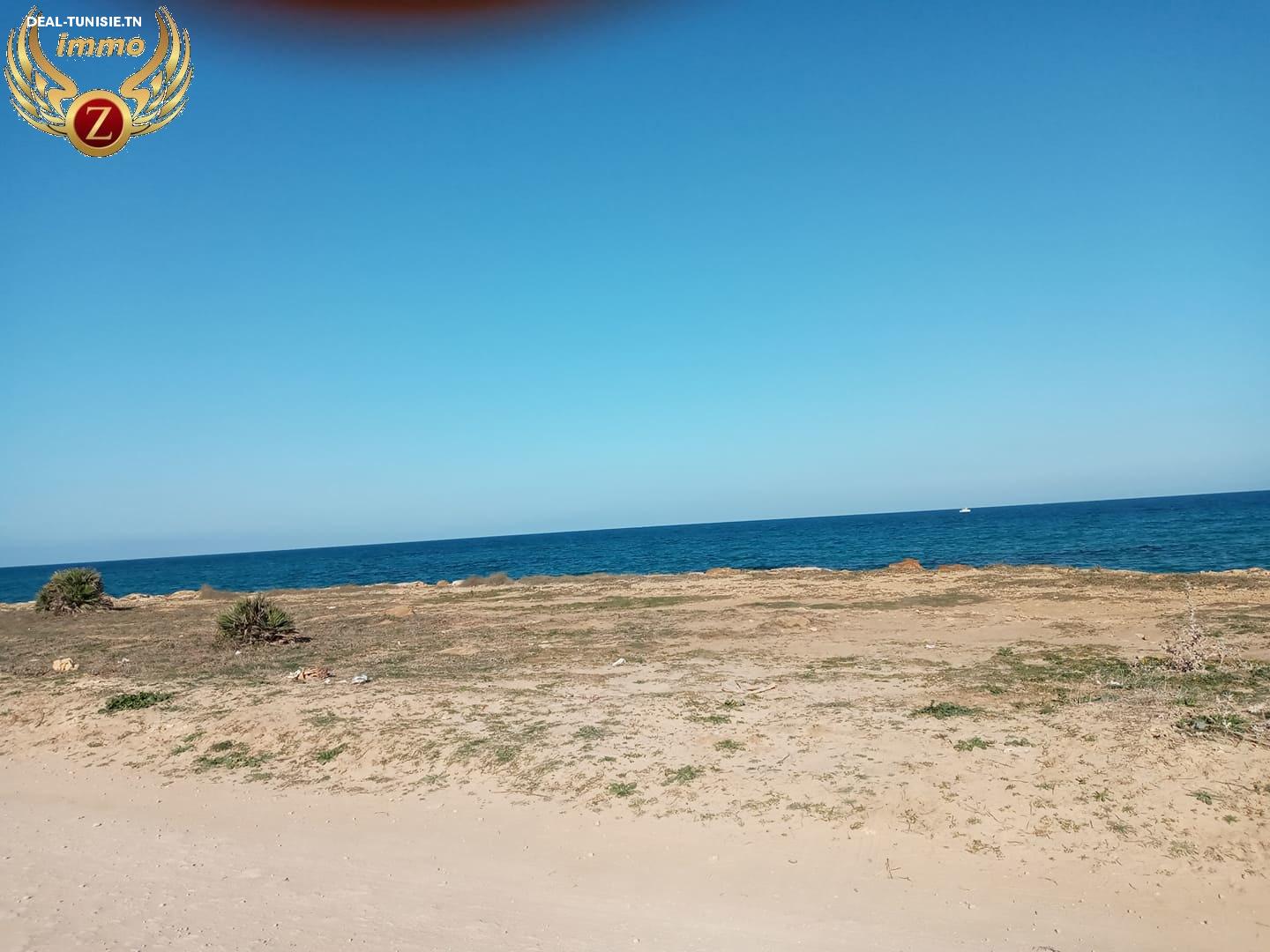 deal tunisie annonce