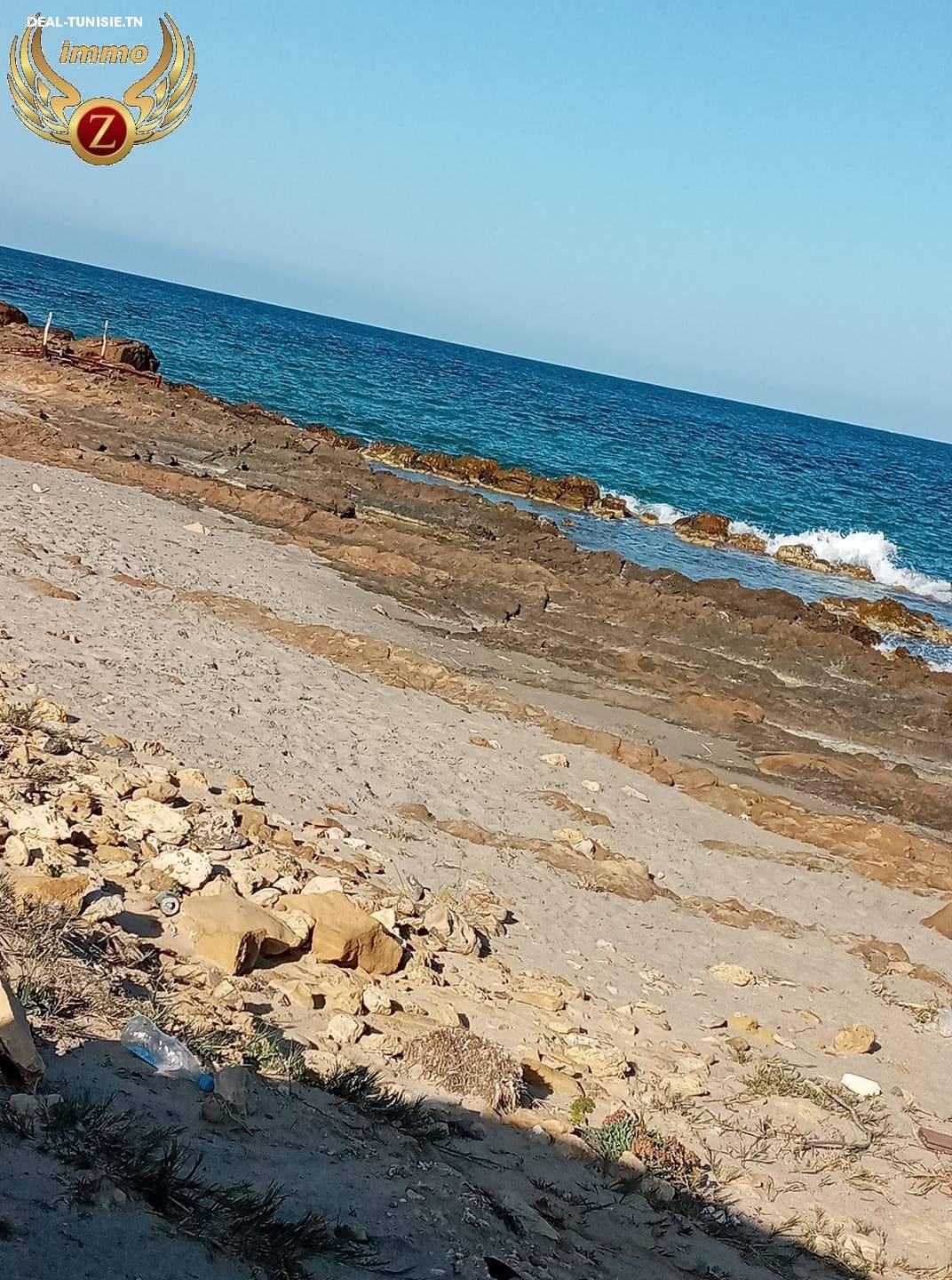 Image Annonce Deal-tunisie