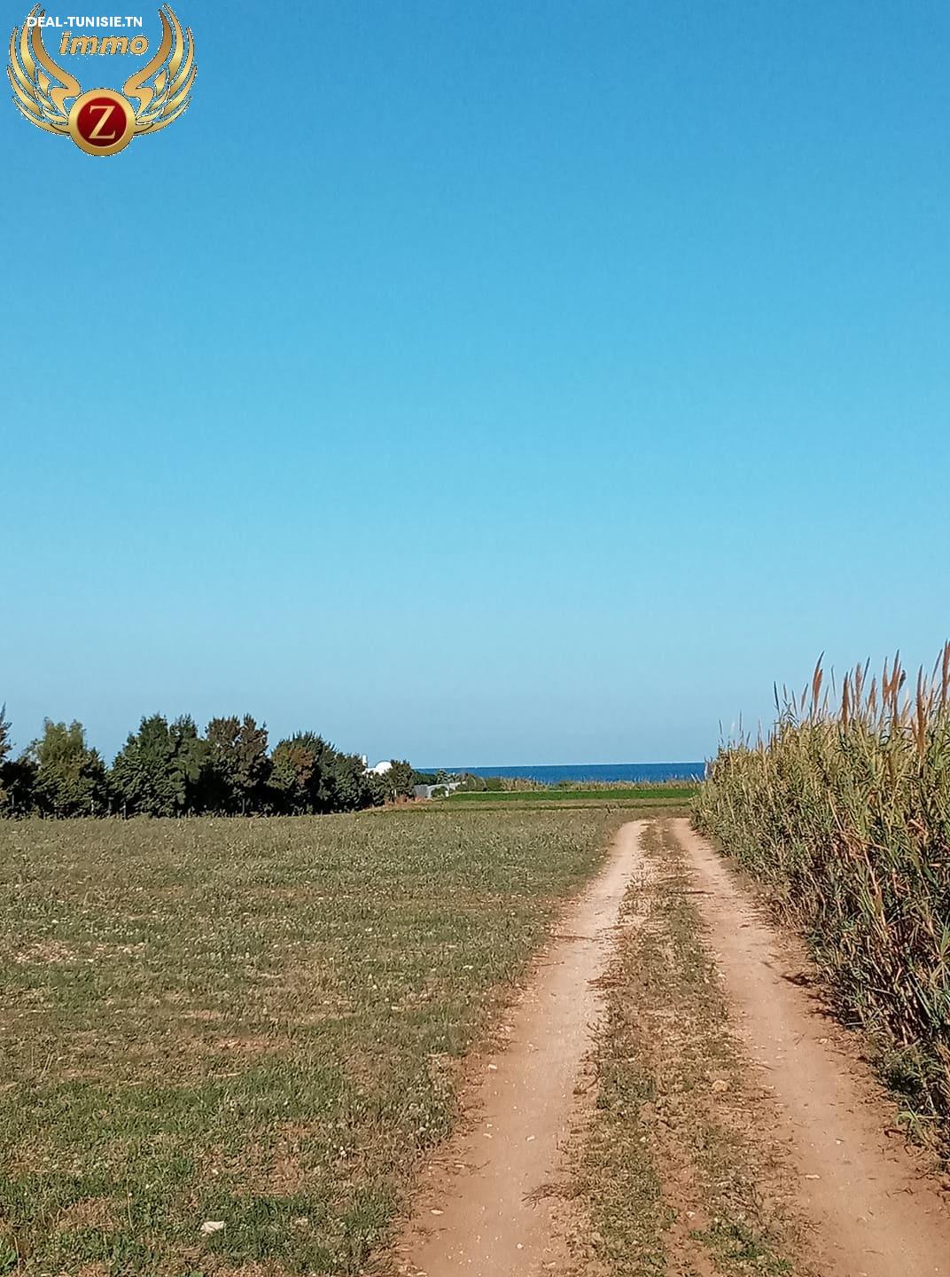 Image Annonce Deal-tunisie