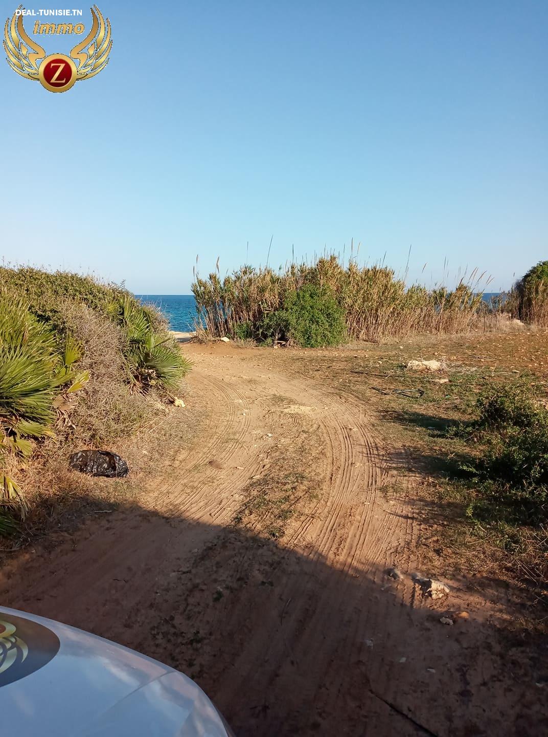 Image Annonce Deal-tunisie