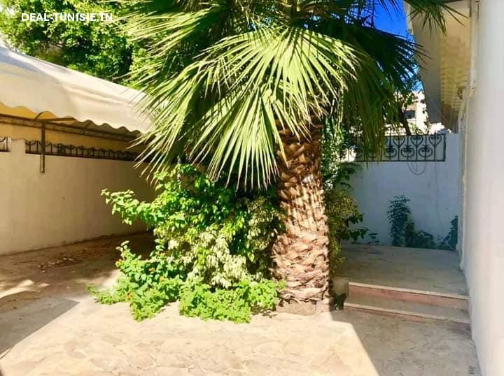 Image Annonce Deal-tunisie
