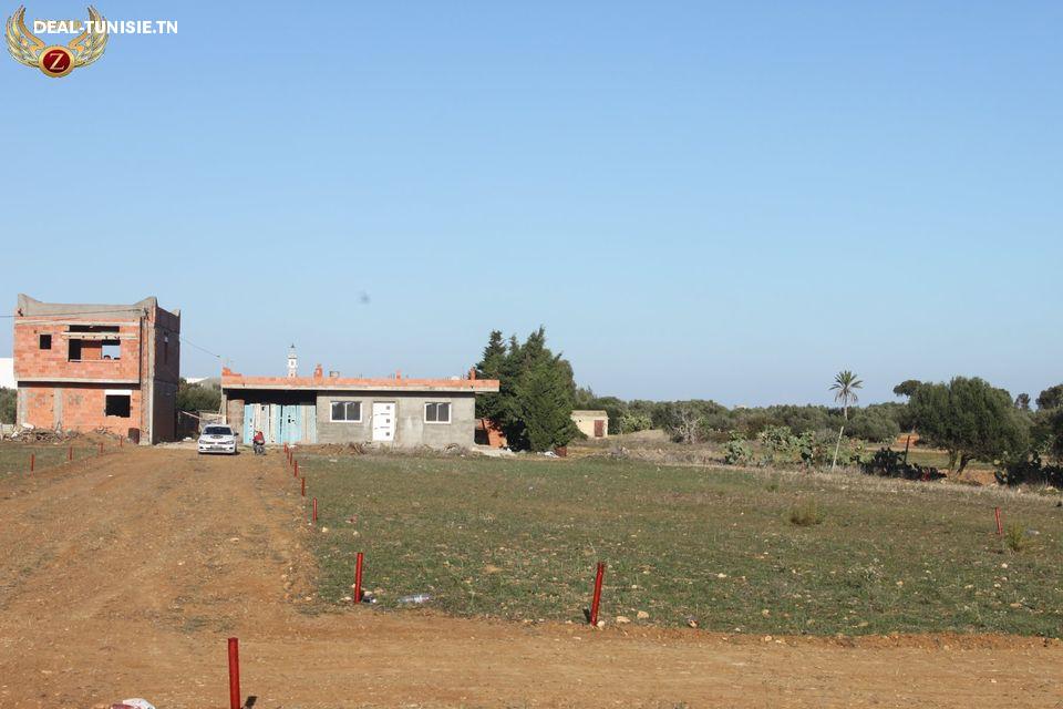 Image Annonce Deal-tunisie