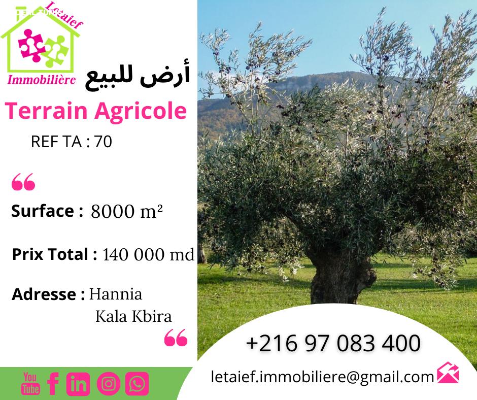 deal tunisie annonce