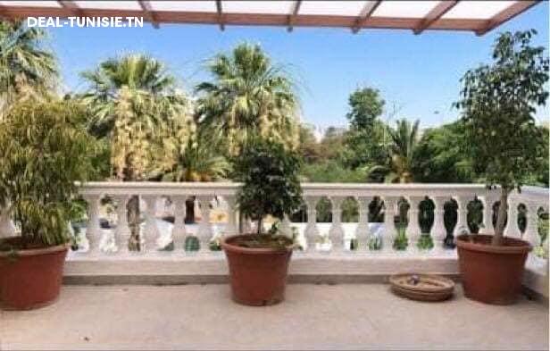 Image Annonce Deal-tunisie