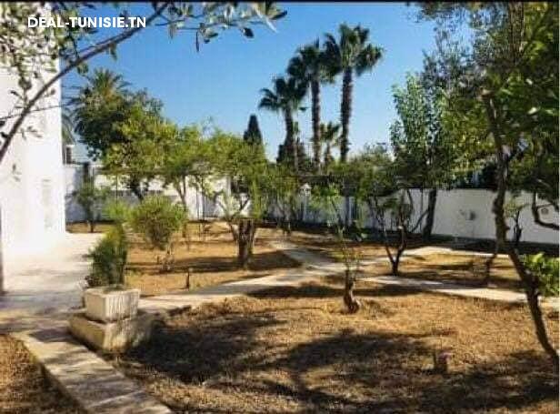 deal tunisie annonce