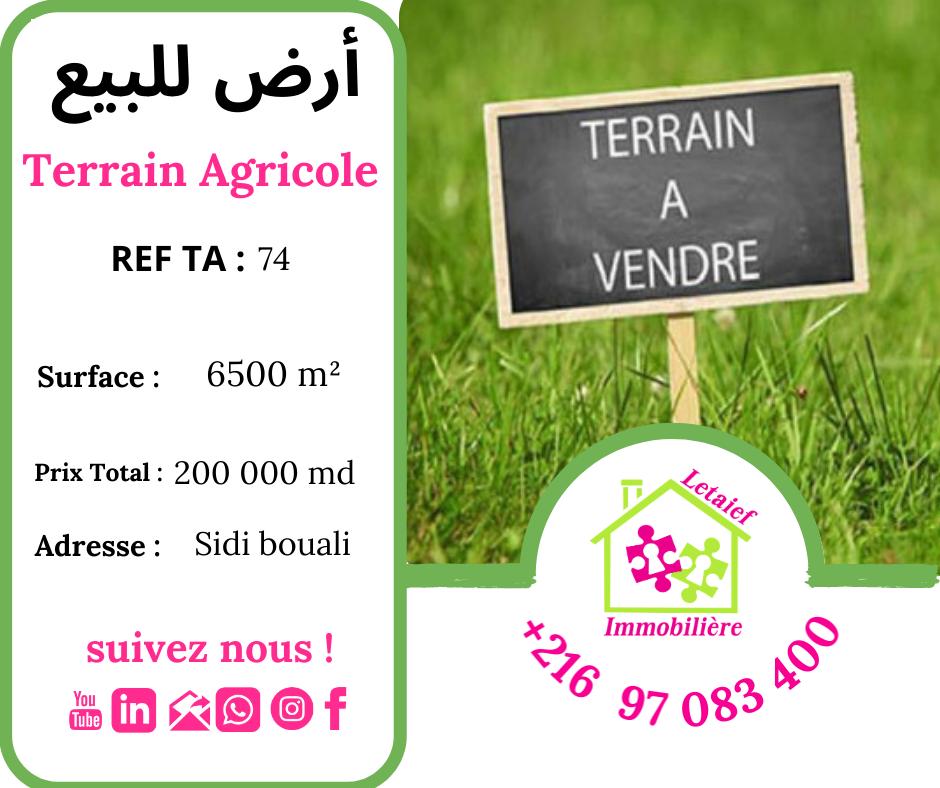 deal tunisie annonce