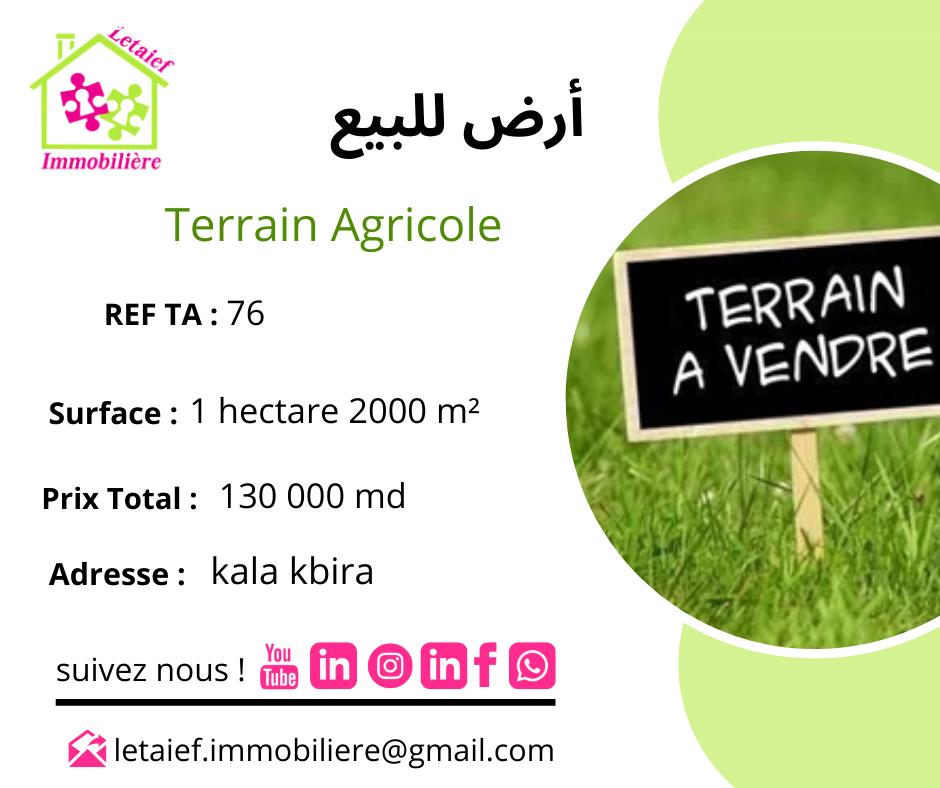deal tunisie annonce