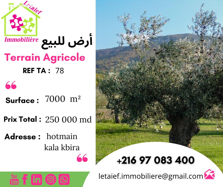 deal tunisie annonce