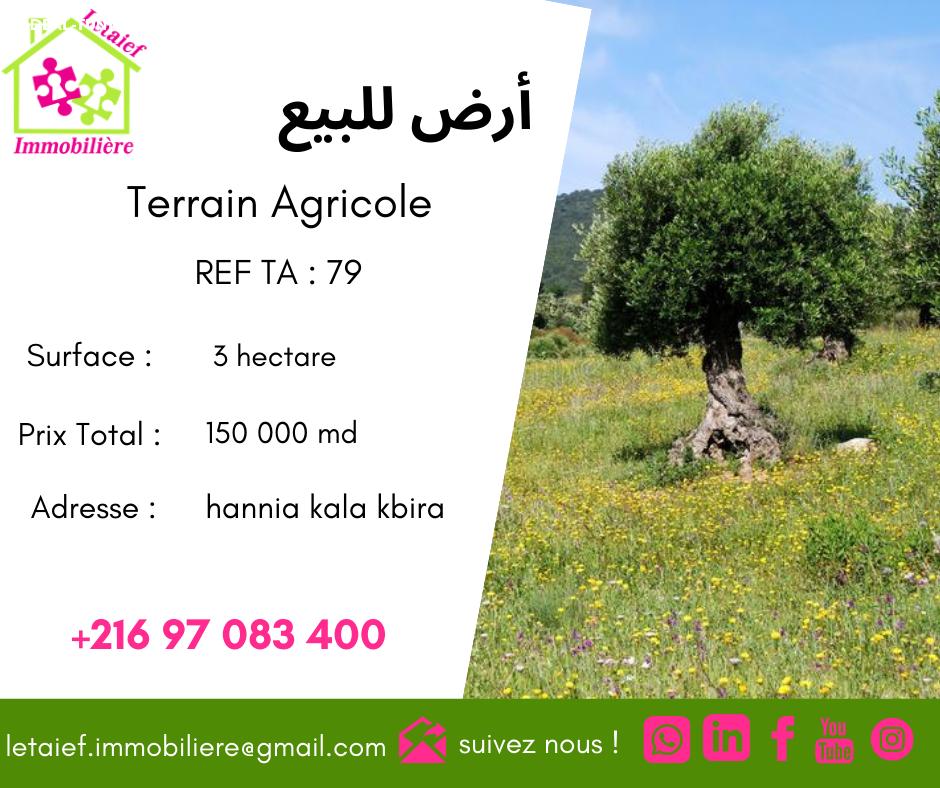 deal tunisie annonce