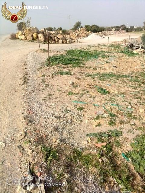 Image Annonce Deal-tunisie