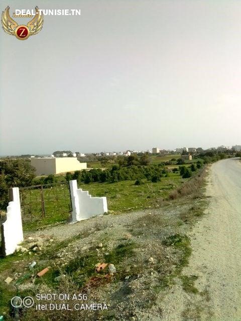 deal tunisie annonce