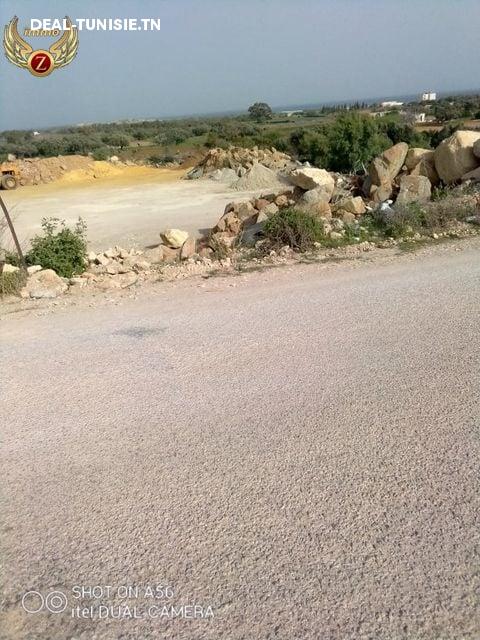 Image Annonce Deal-tunisie