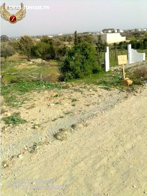 Image Annonce Deal-tunisie