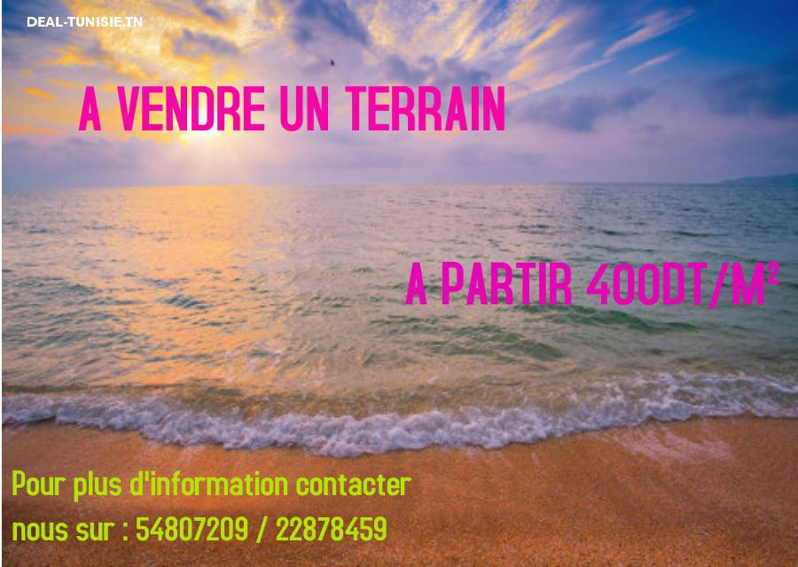 deal tunisie annonce