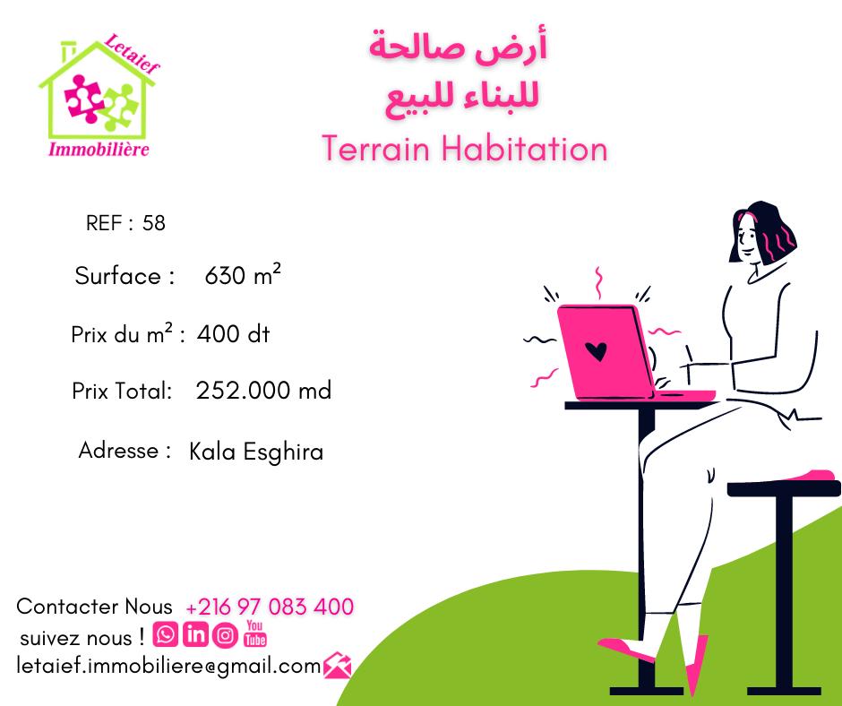 deal tunisie annonce