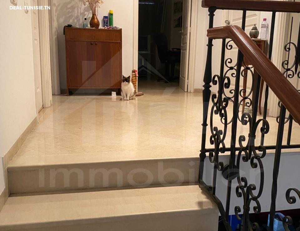 Image Annonce Deal-tunisie