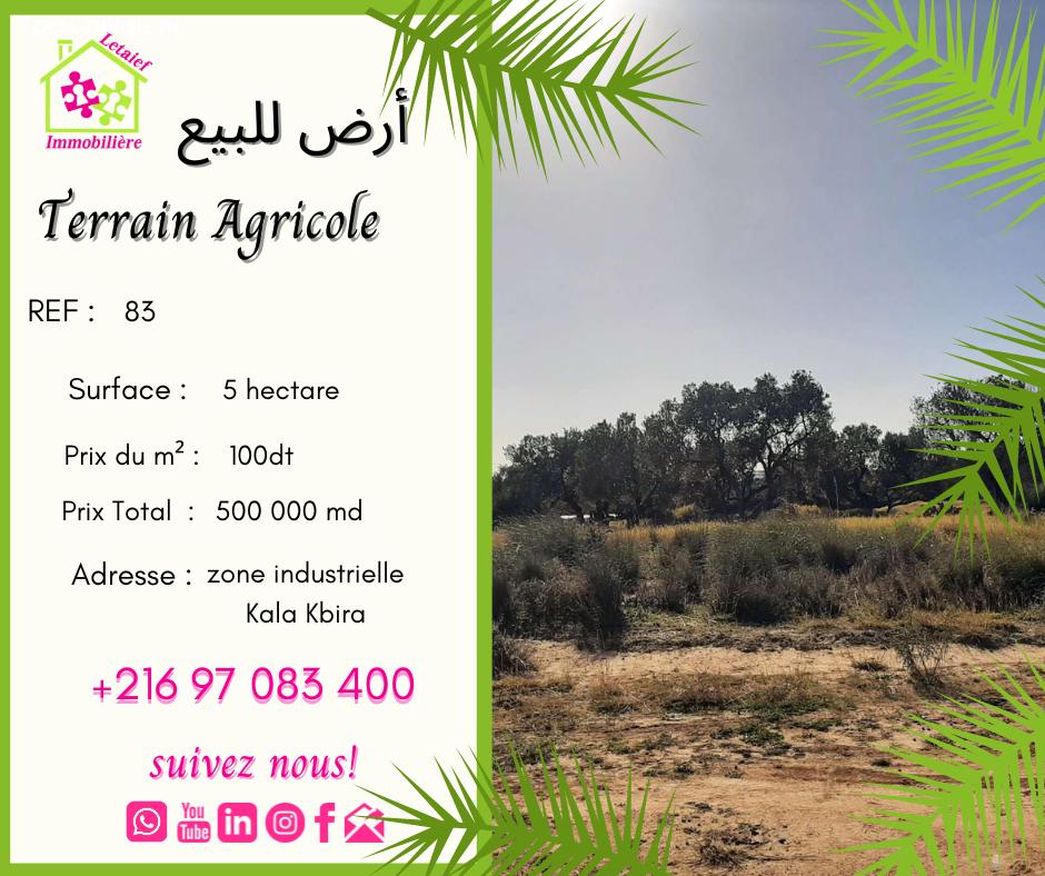deal tunisie annonce