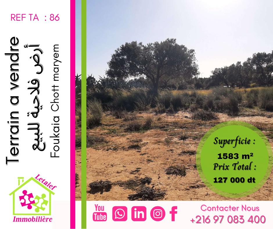 deal tunisie annonce