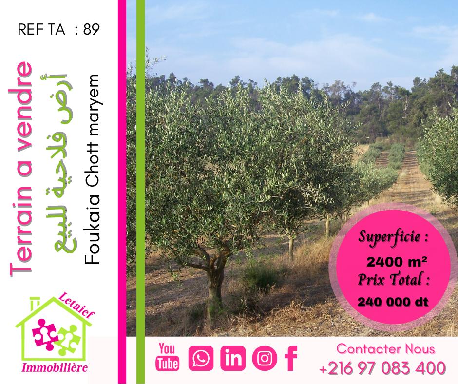 deal tunisie annonce