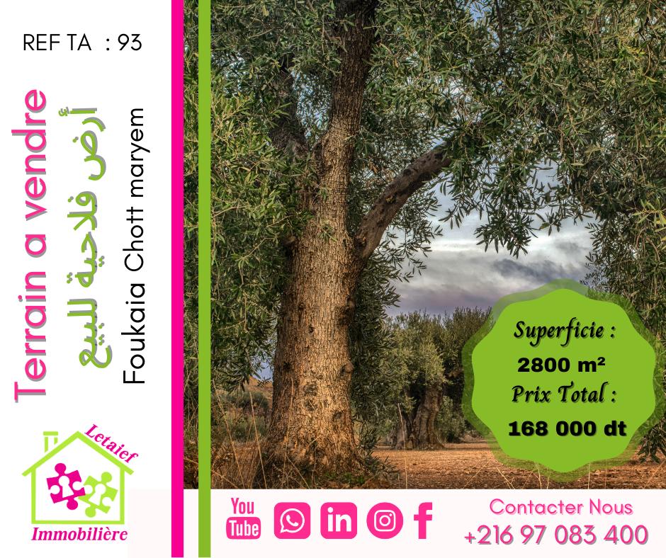 deal tunisie annonce
