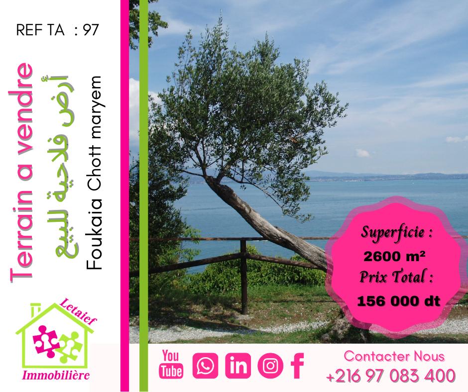 deal tunisie annonce