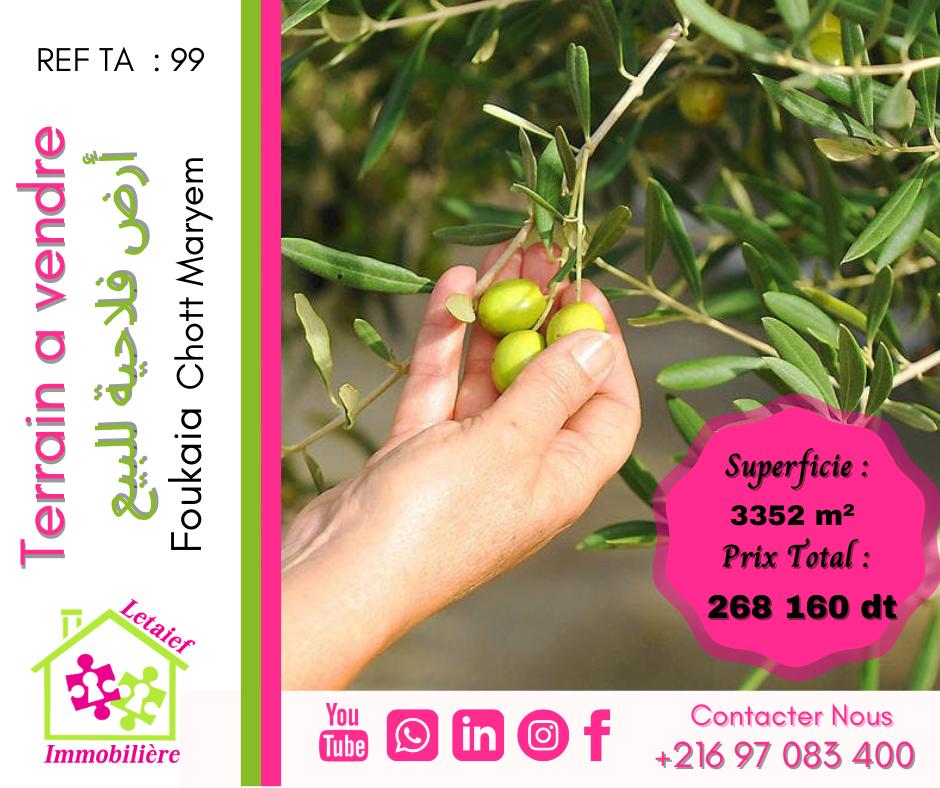 deal tunisie annonce