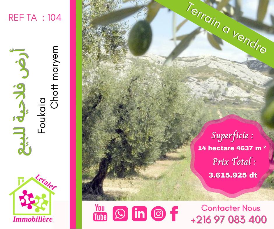deal tunisie annonce