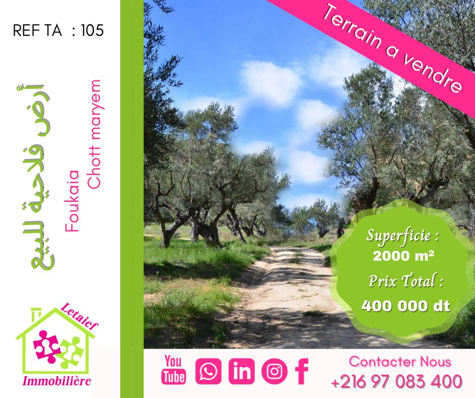 deal tunisie annonce