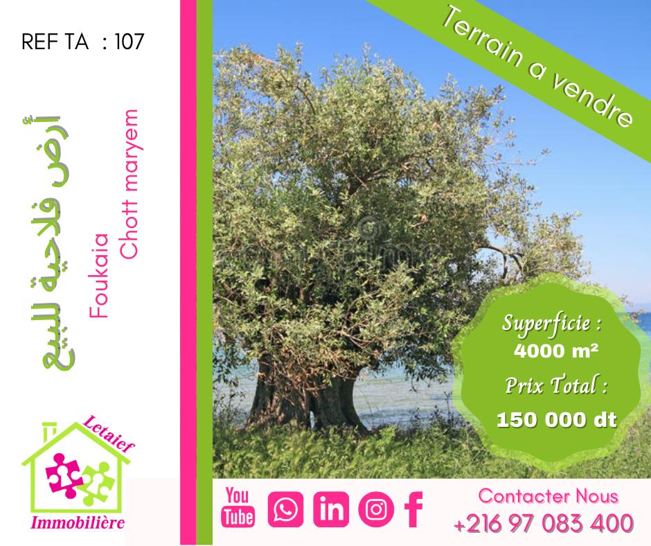 deal tunisie annonce
