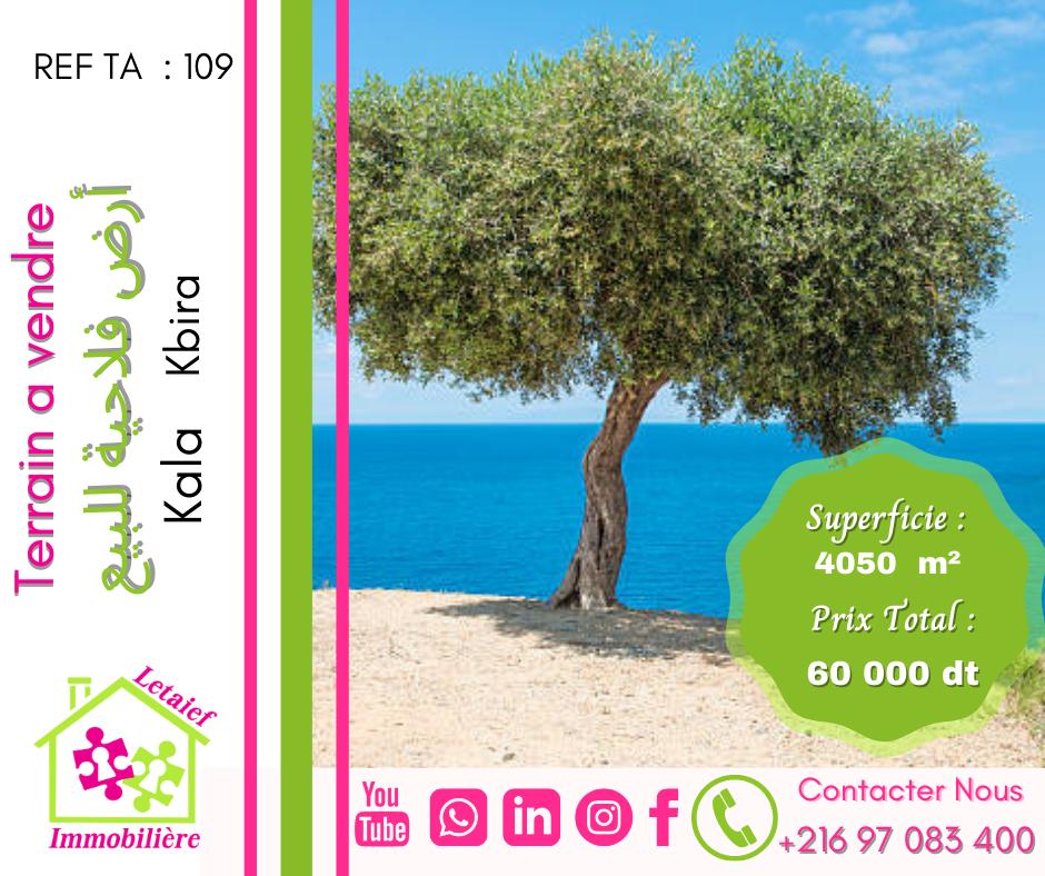 deal tunisie annonce