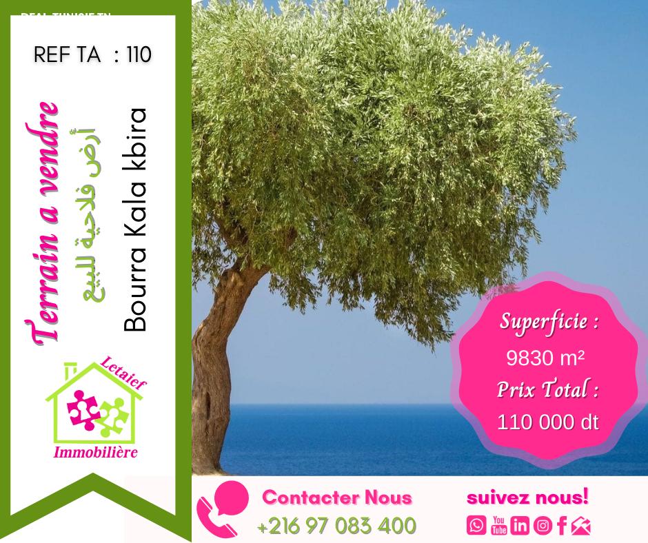deal tunisie annonce