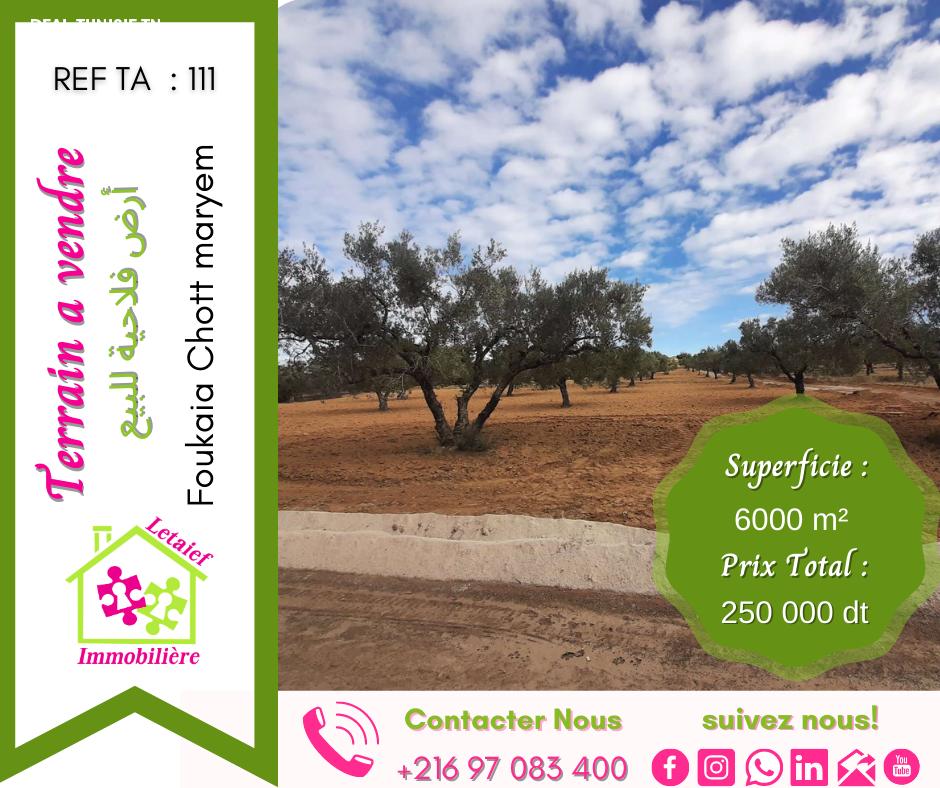 deal tunisie annonce