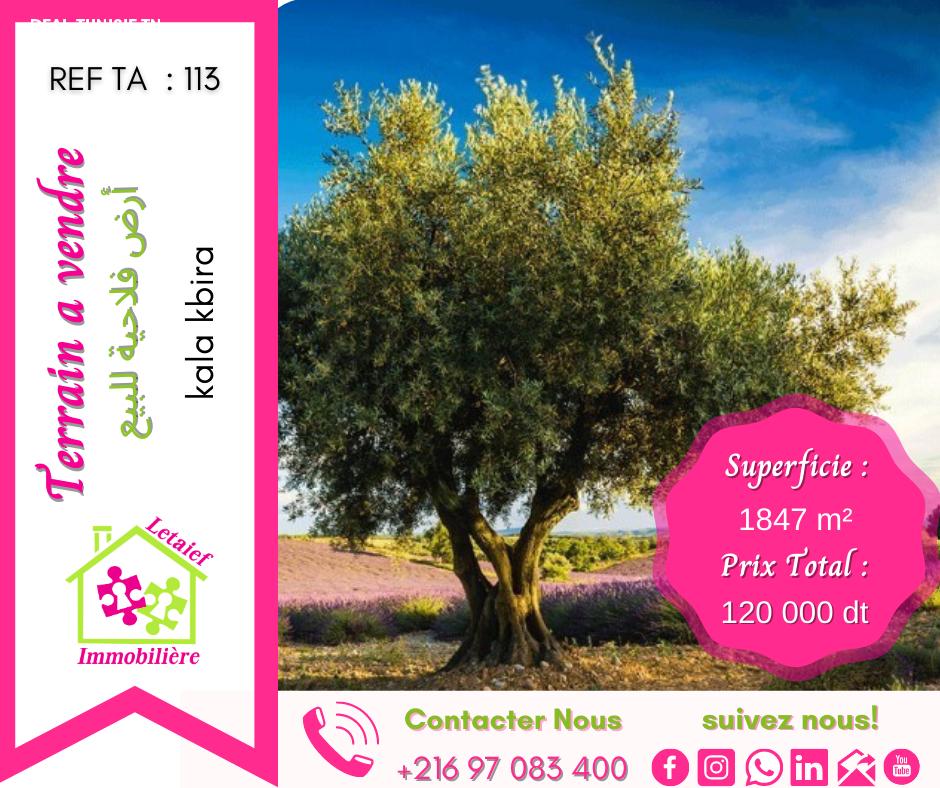 deal tunisie annonce